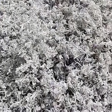 湖南张家界高山霉茶