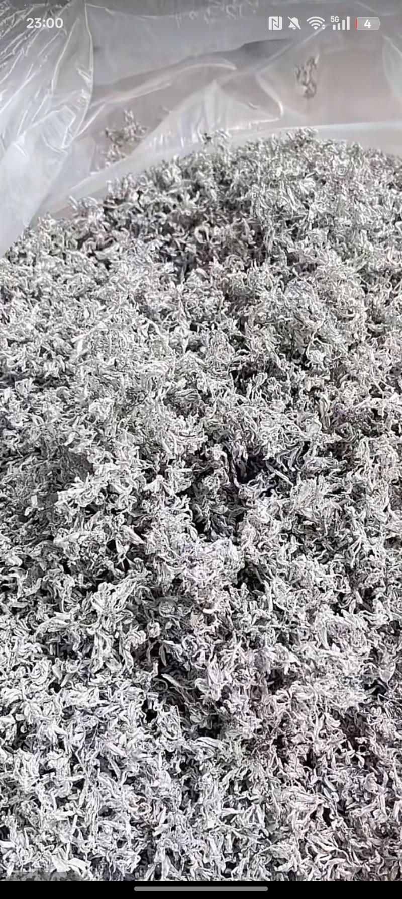 湖南张家界高山霉茶