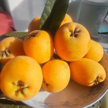批把