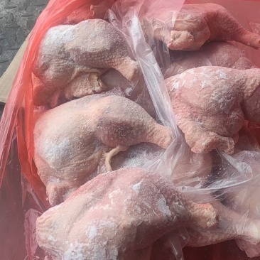 二级种鸡边腿20吨