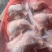 二级种鸡边腿20吨