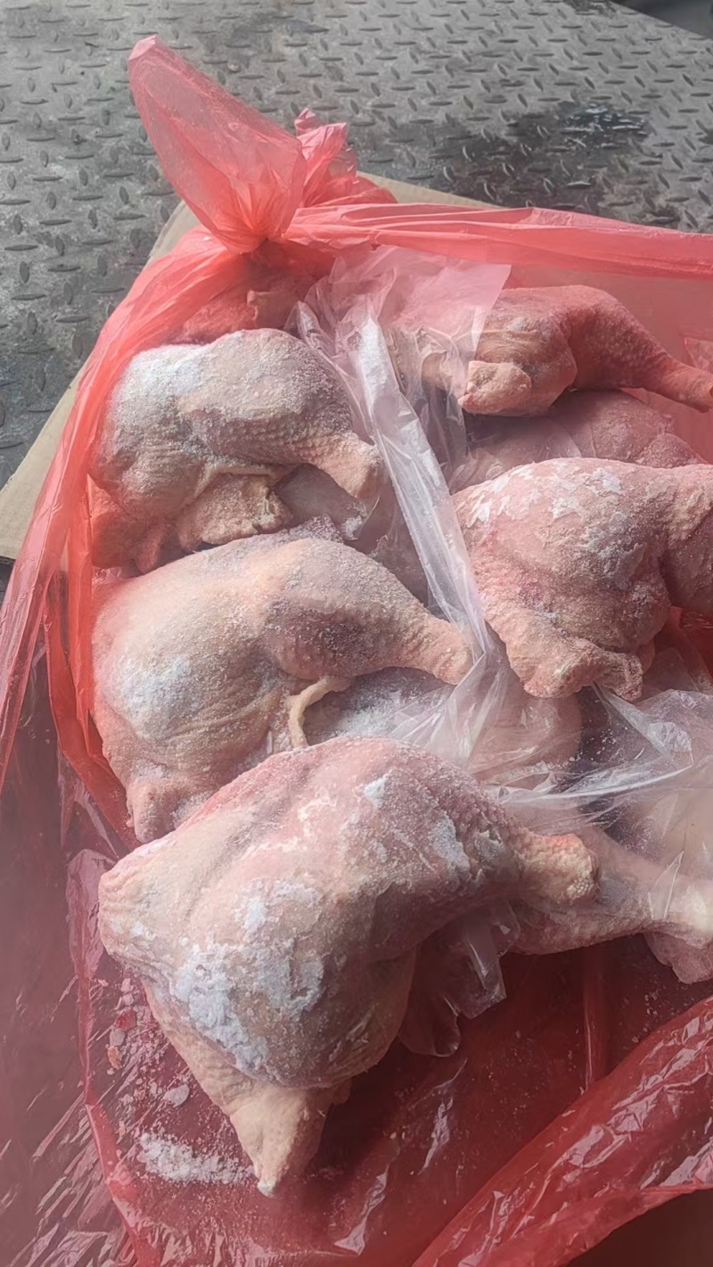 二级种鸡边腿20吨