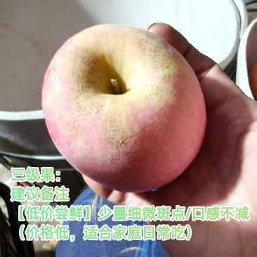 山东烟台栖霞红富士苹果
