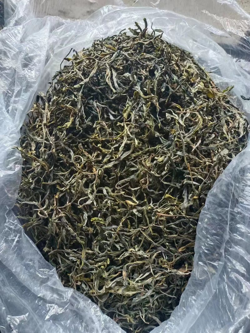 普洱茶
