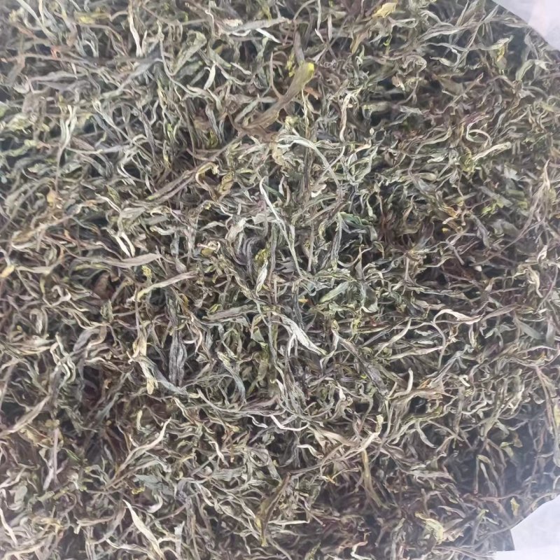 普洱茶