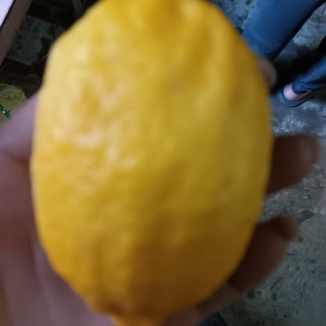 大柠檬