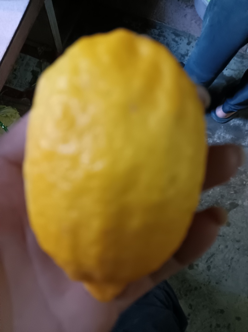 大柠檬