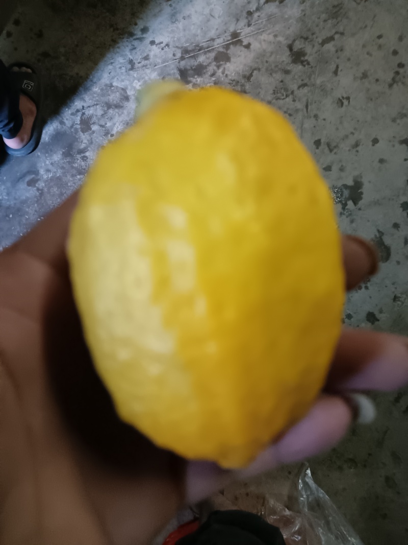 大柠檬
