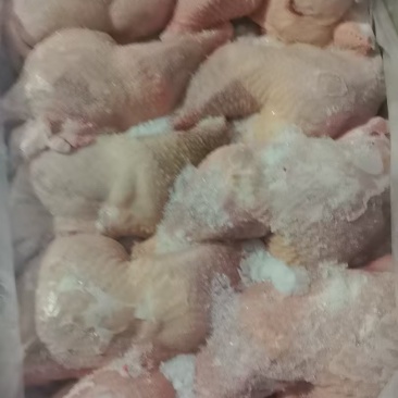 种鸡边腿一级