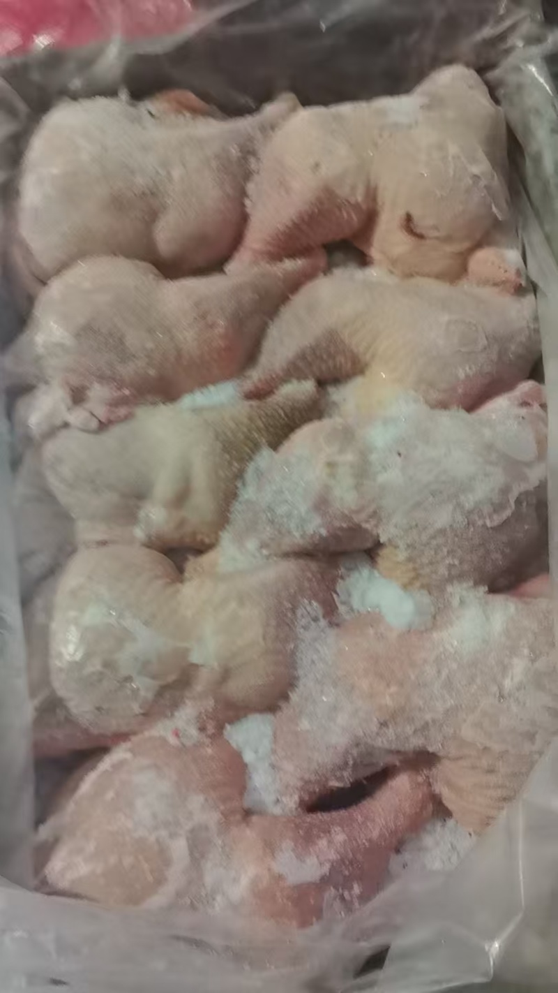 种鸡边腿一级