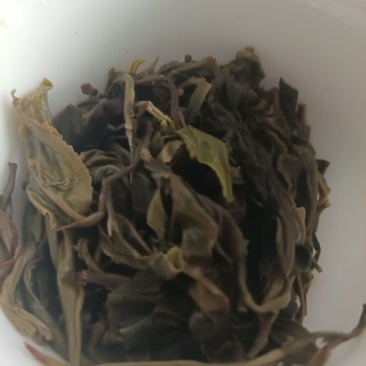乔木春茶