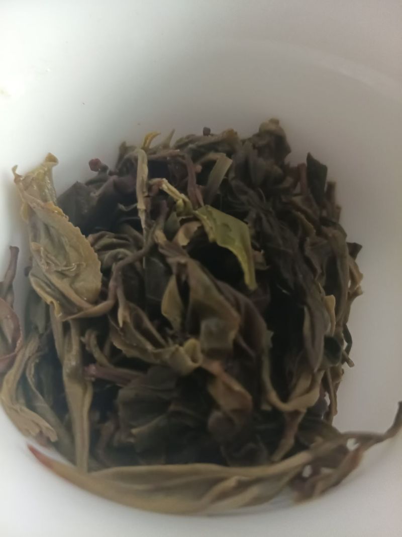 乔木春茶