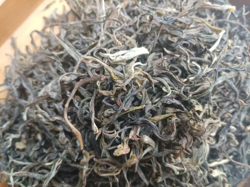 乔木春茶