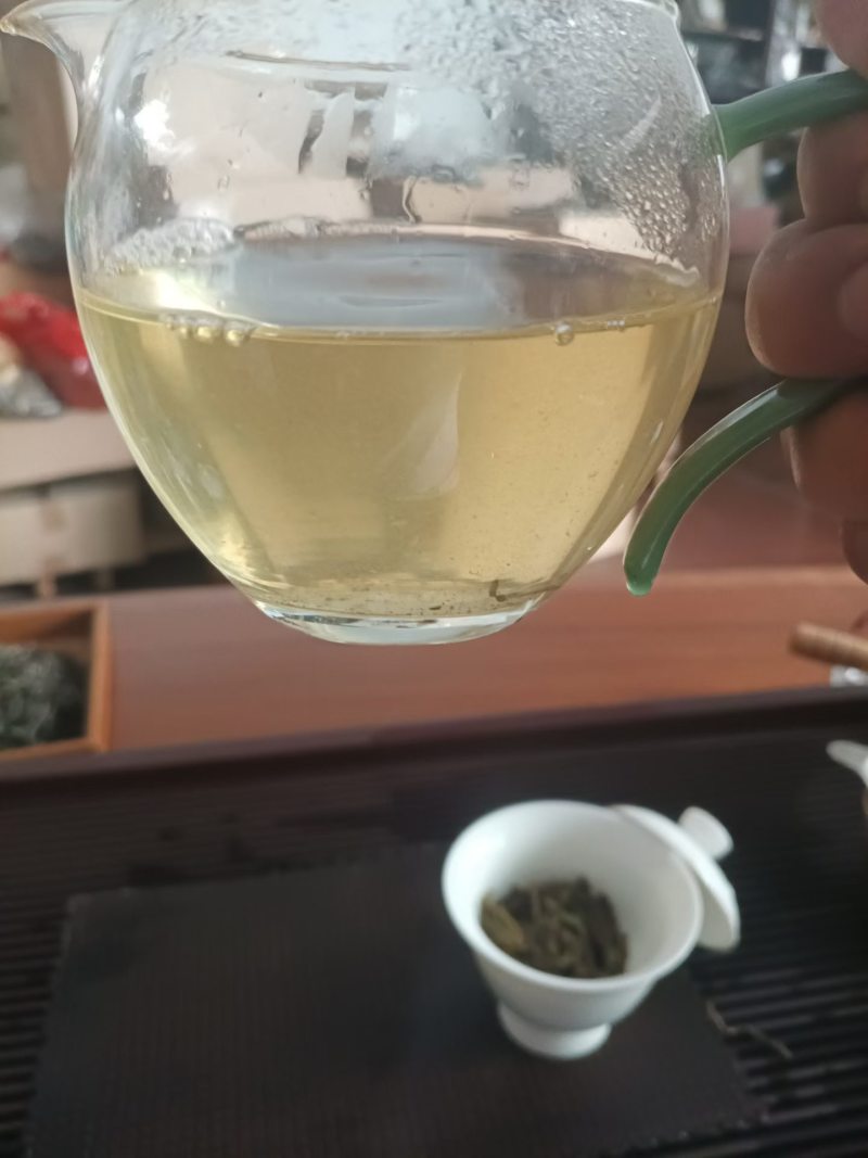 乔木春茶