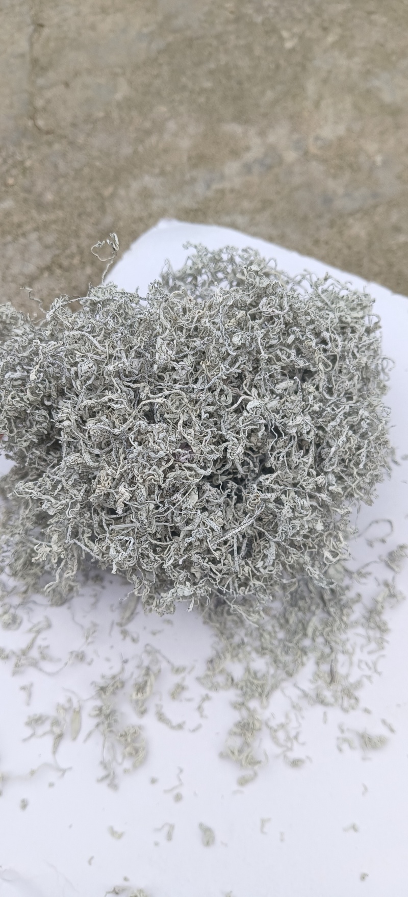湘西高山莓茶