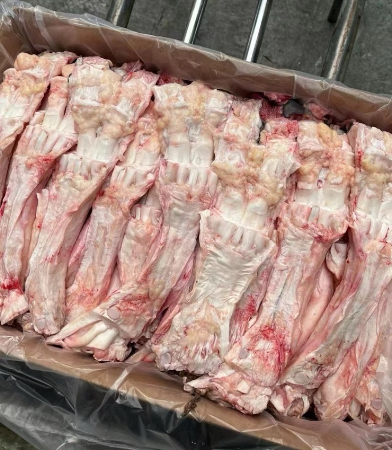 国产纯干精修牛蹄主筋，每天鲜牛蹄加工