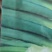 章丘菜葱