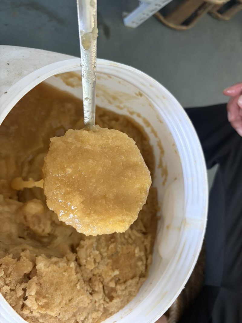 云南红河金平高原土蜂蜜百花蜜。
