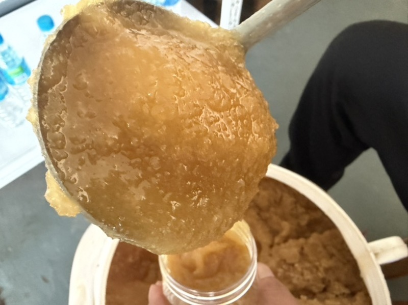 云南红河金平高原土蜂蜜百花蜜。