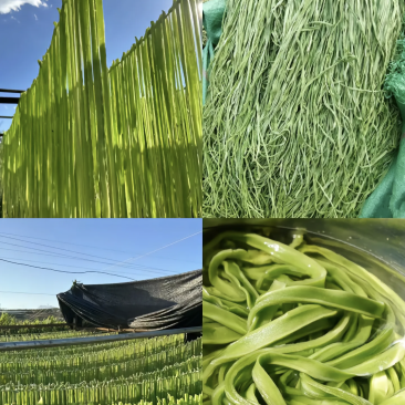 大理源头直供，优质贡菜干/鲜货寻求长期合作