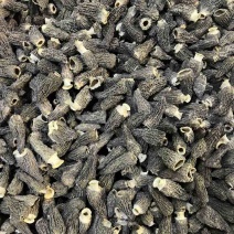 2026年头茬羊肚菌干品，自有种植基地