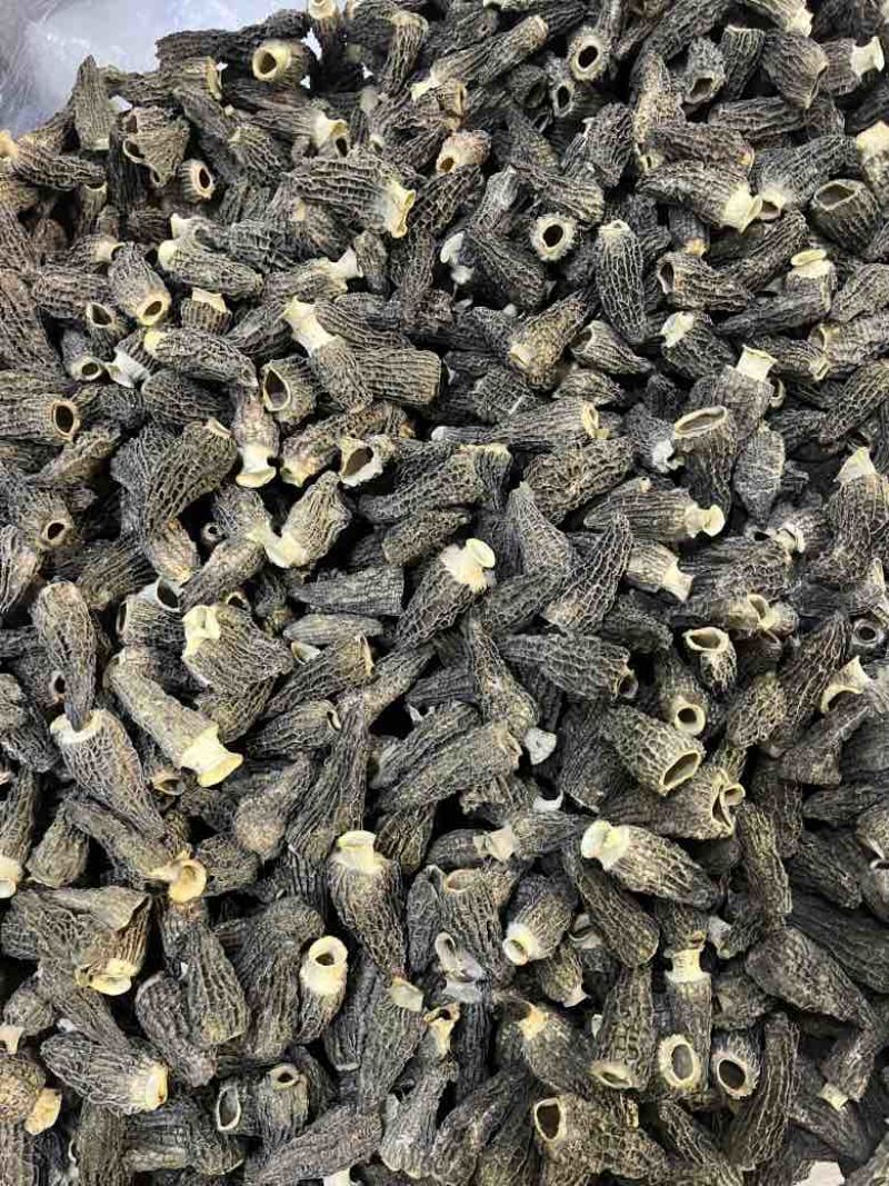 2026年头茬羊肚菌干品，自有种植基地