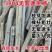速生杨树苗3804杨树苗白杨树苗无絮园林绿化树苗扦插条扦插断