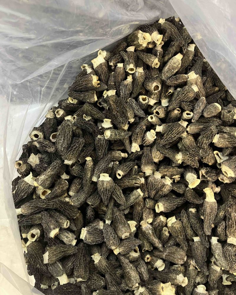 2026年头茬羊肚菌干品5-7