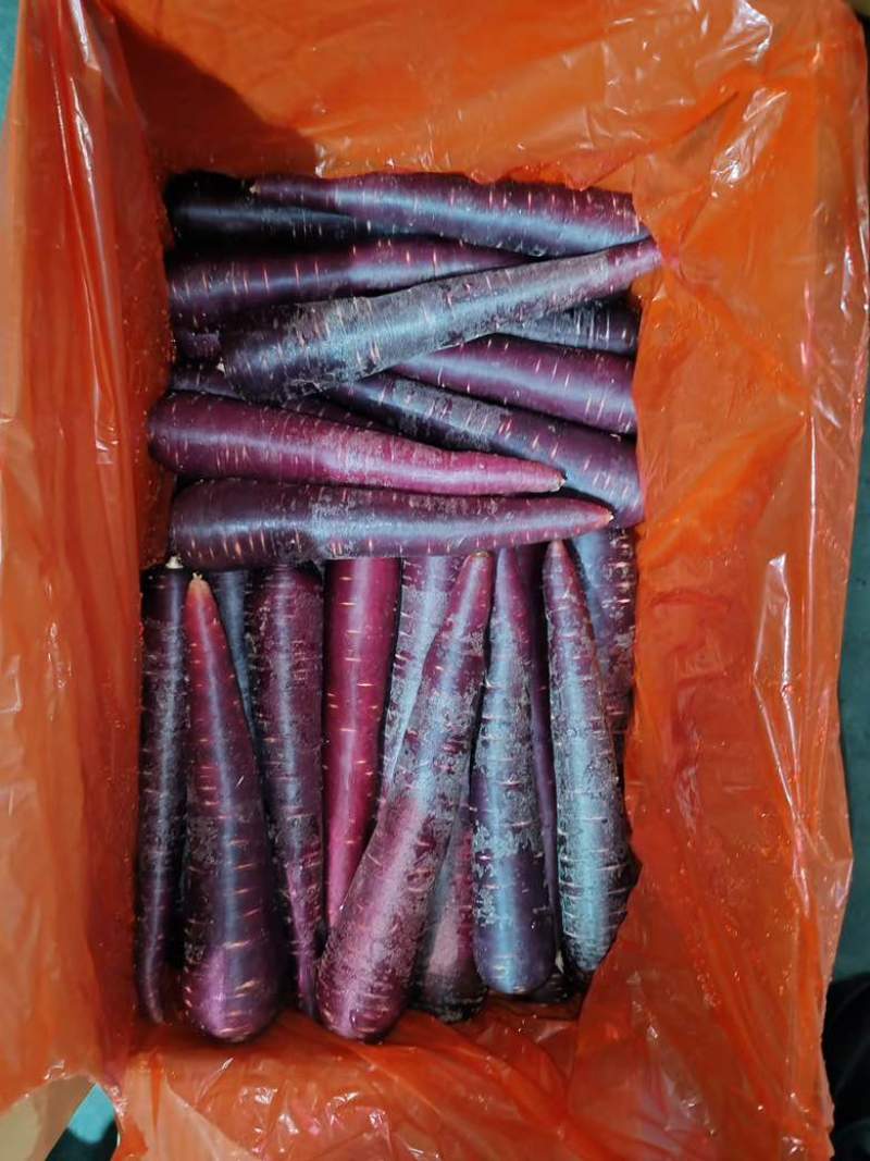 出30吨紫胡萝卜几毛钱没任何质量问题5公斤每箱