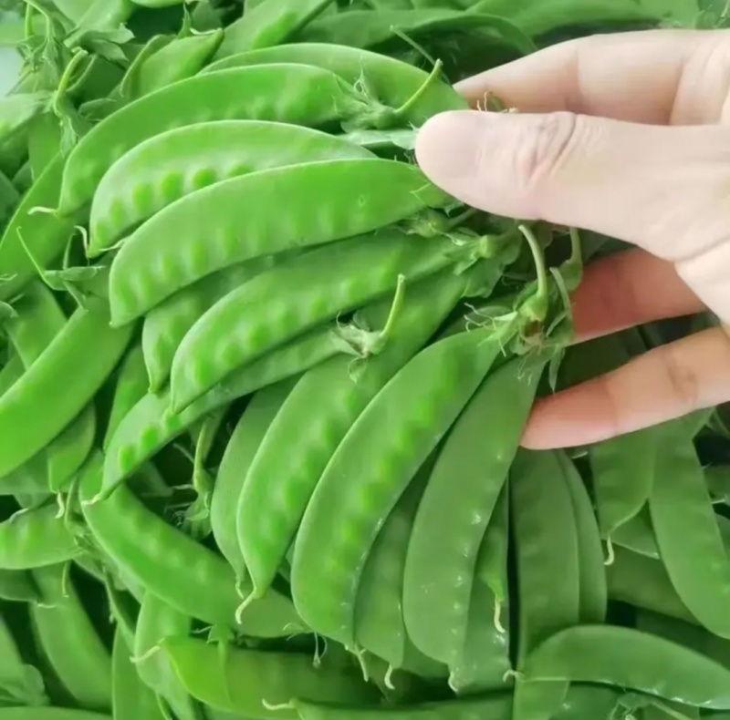 荷兰豆