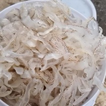 海蜇
