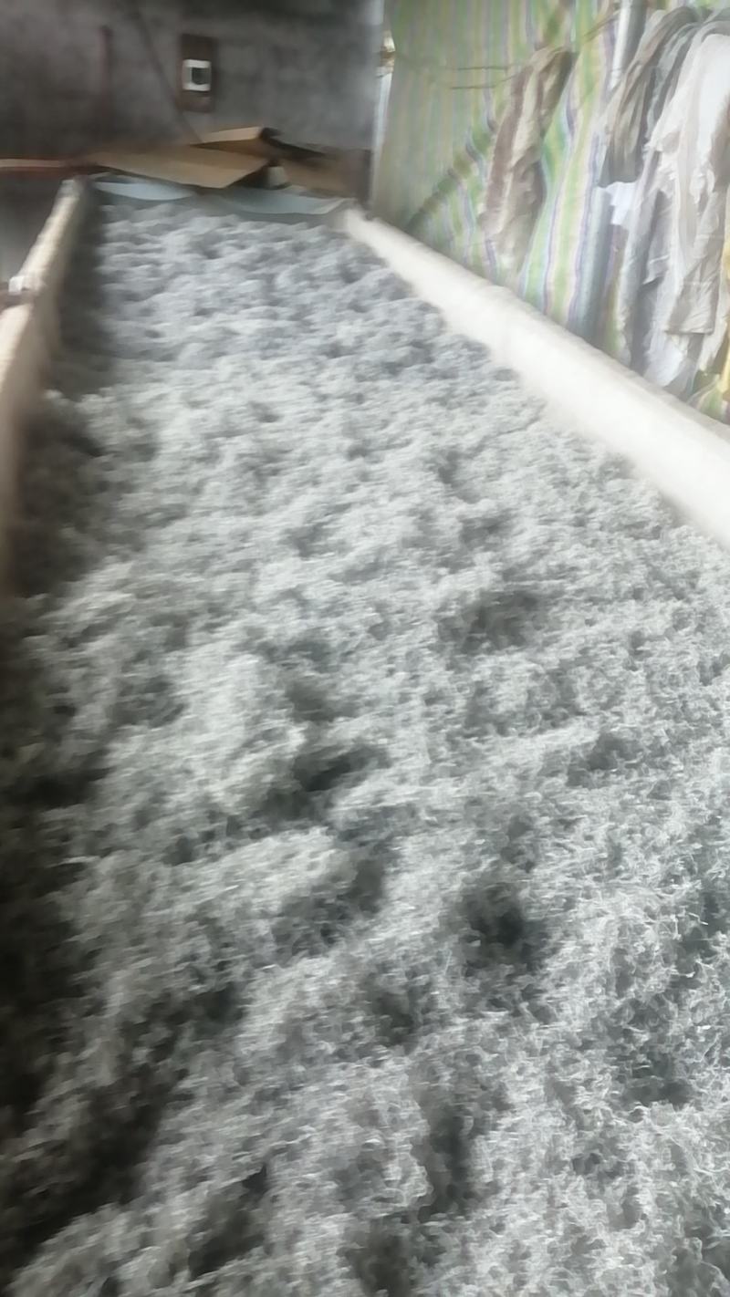 张家界莓茶