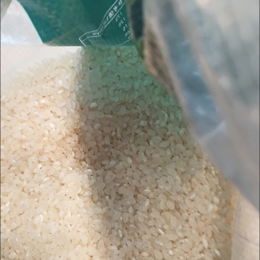 盘锦蟹田大米