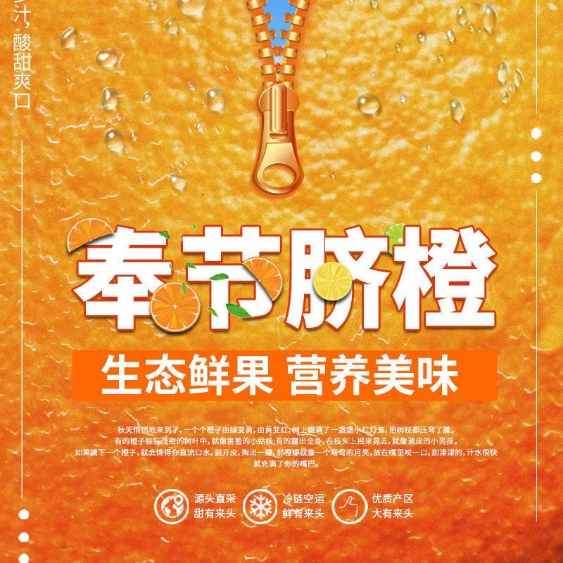 奉节脐橙