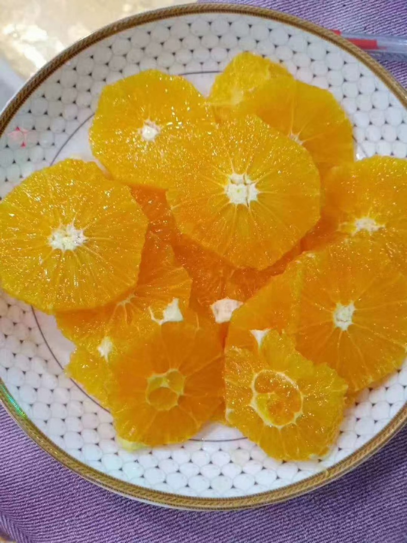奉节脐橙