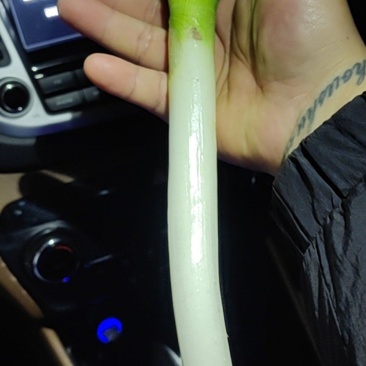大葱