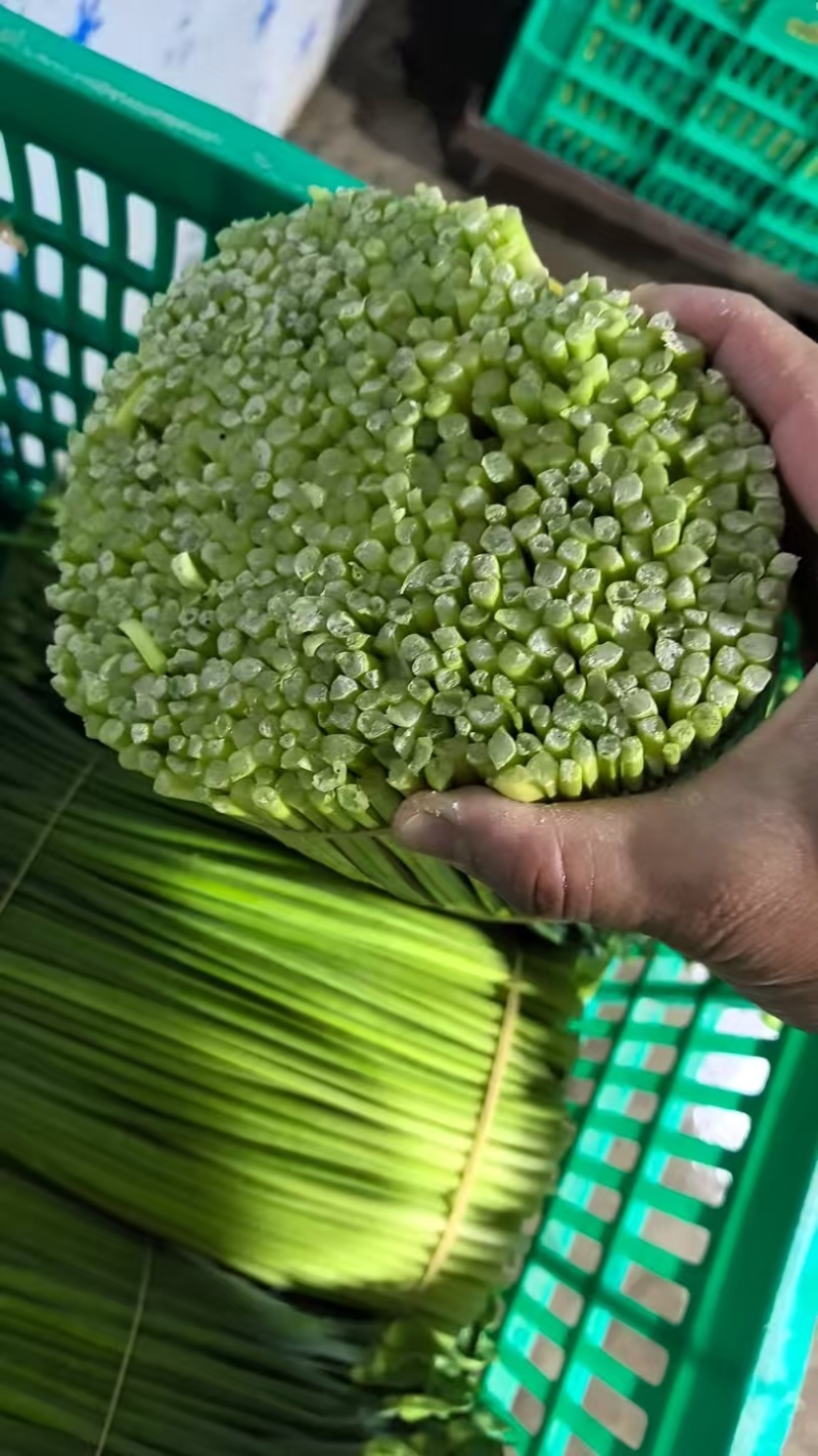 基地直供，大量有货