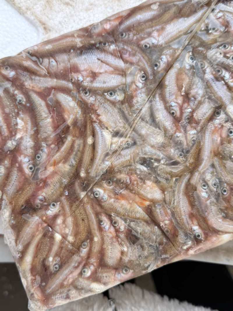 亮眼需要可联系大小都有可长期供货