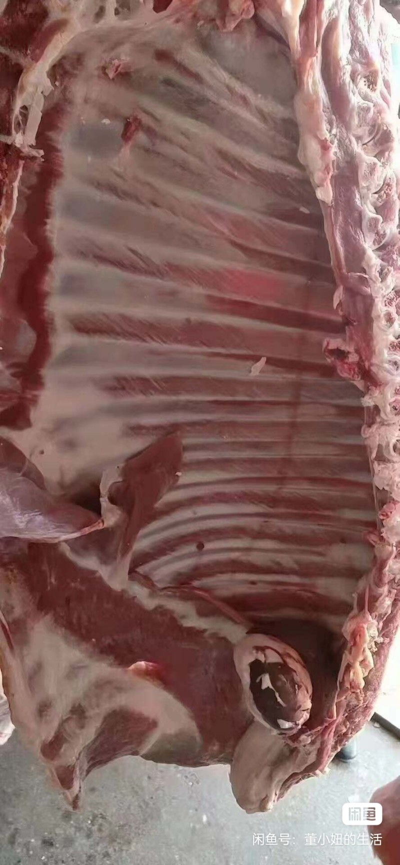 内蒙古巴彦淖尔市鲜羊肉