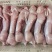 白条兔，冰鲜兔，分割兔，兔副