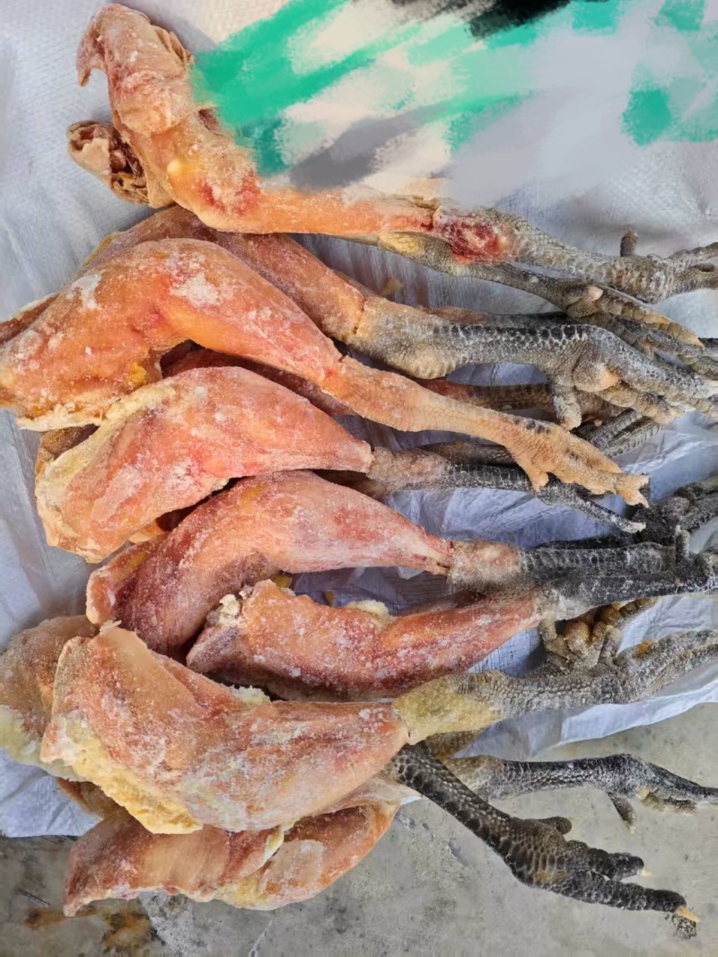土鸡腿爪6吨