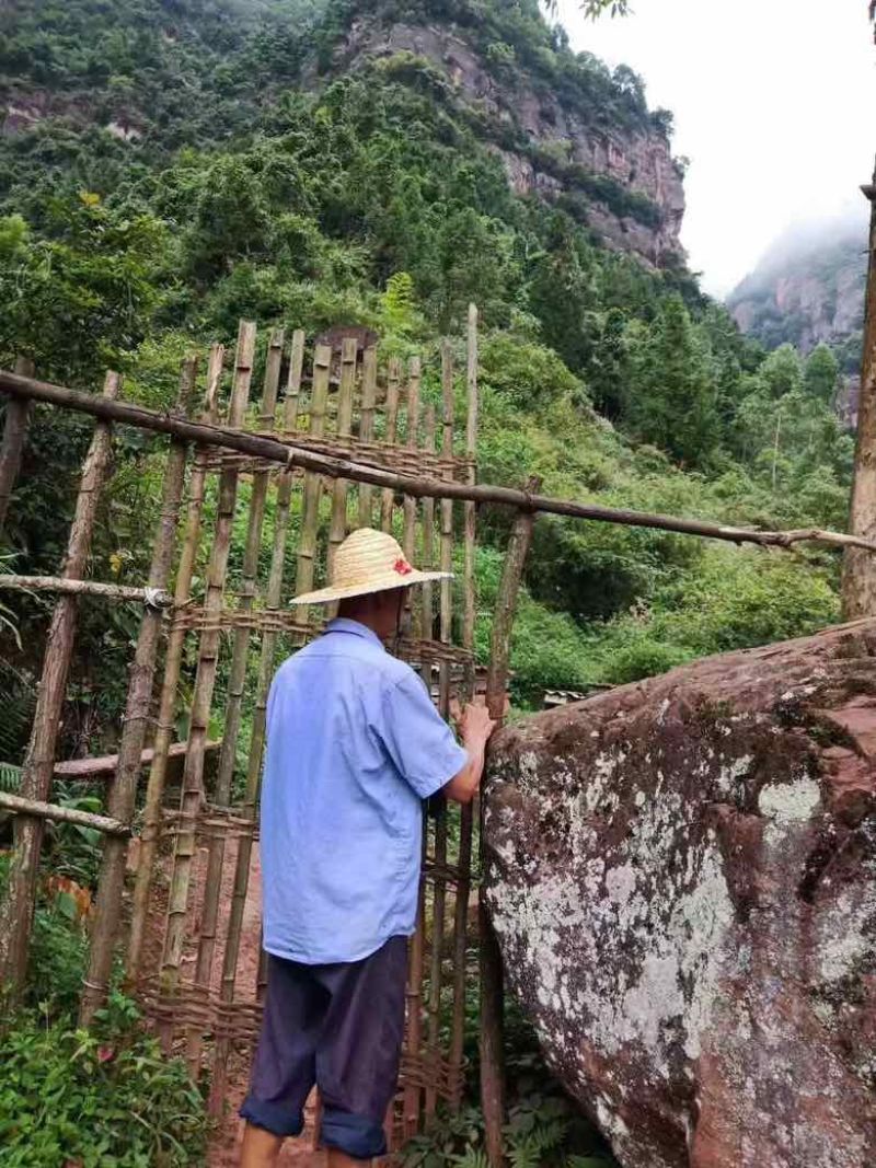 深山老林土蜂蜜