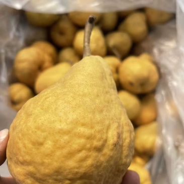通货丑梨