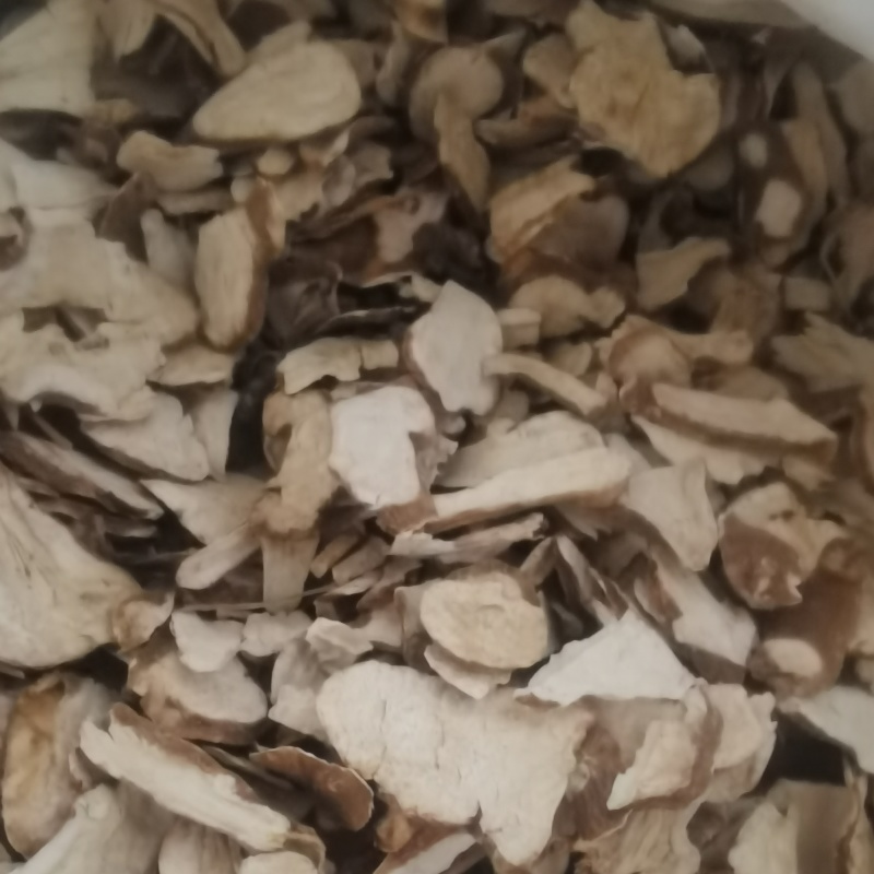 白术片