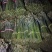 贵州高山蕨菜，欢迎各位老板电话来聊一聊