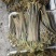 贵州高山蕨菜，欢迎各位老板电话来聊一聊