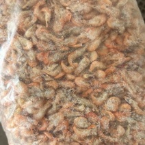 水煮虾货量大需要可联系