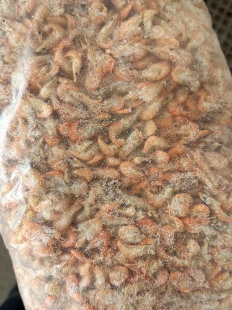 水煮虾货量大需要可联系