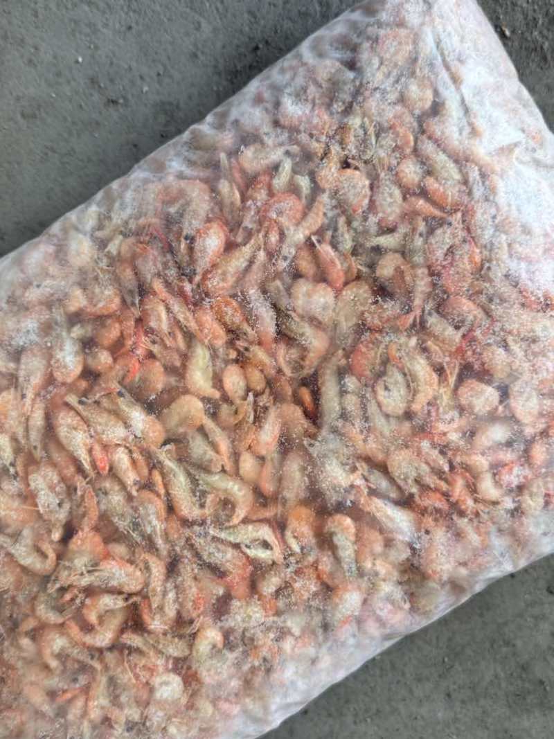 水煮虾货量大需要可联系