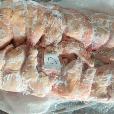 二级排腿